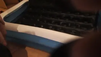 diversestacey 18 02 03 408 trying to get cock #battle