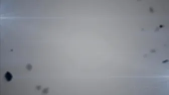 thereallisaan 7-08-2019-9.39.7409-I produced directed this movie last year starred in