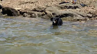 Stella Violet, stellaviolet, stellavioletxx Openwork passion undress and pussy pulls