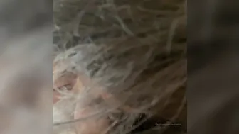 Ava aka avarexha onlyfans Shy teen masturbates pussy with sex toy