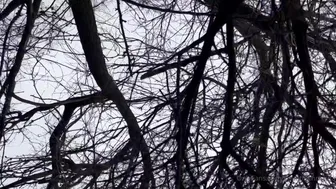 countrychristina  onlyfans  Teen masturbates sexy wet pink hole in chat vids