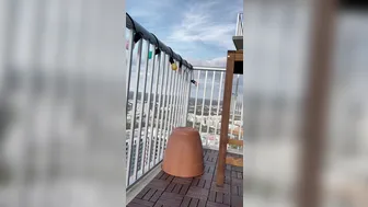 Bella aka bansheebel onlyfans 27-02-2022 stream porn